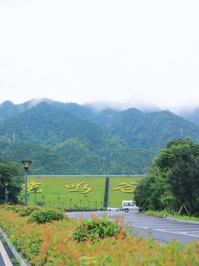 武漢周邊遊｜剛退房承包一座山的快樂親子遊