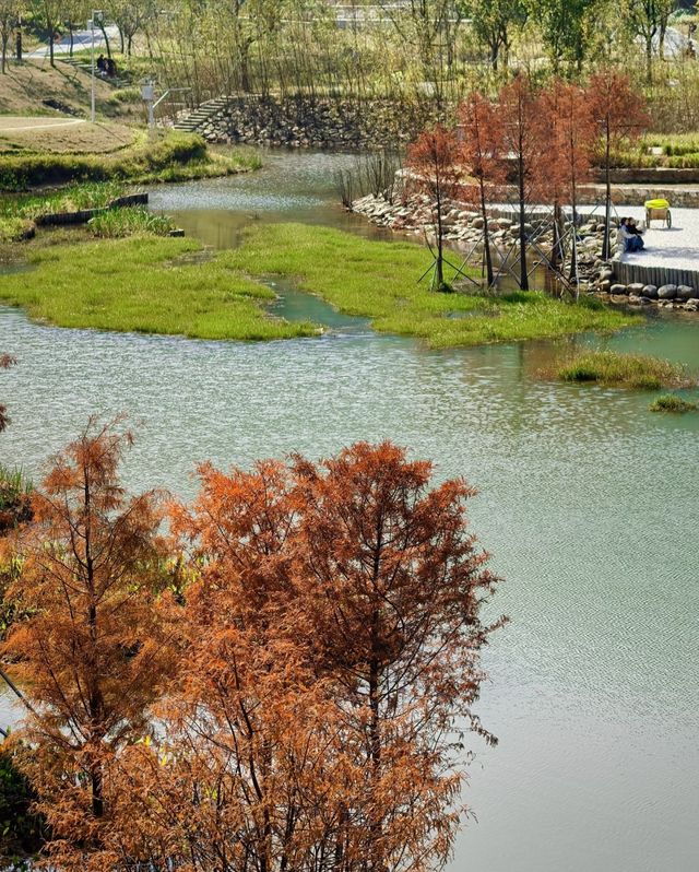 頭陂公園，自然與歡樂的完美融合