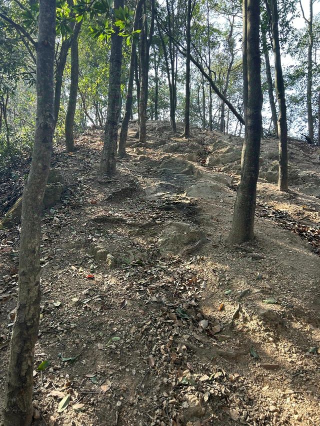 余杭娘娘山 | 爬「小富士山」| 90°先算牆 89°都算斜坡