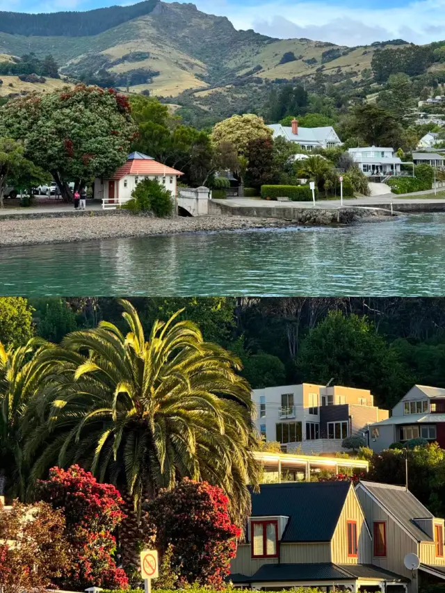 New Zealand's most beautiful town hidden in a corner - Akaroa