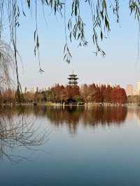 長沙洋湖濕地公園我拍的白鷺塔還可以吧？