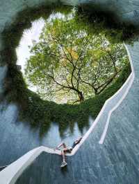 Fort Canning Tree Tunnel in Singapore is Mesmerizing🌹💥