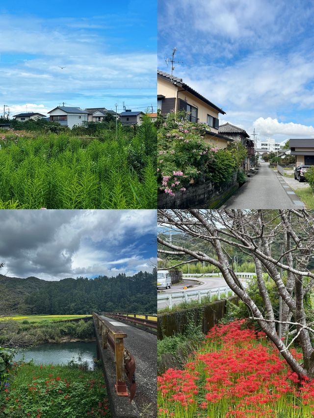 高知市：日本四國的寶藏小城