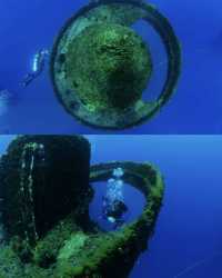 跟着我上天下海：黃金海岸潛水