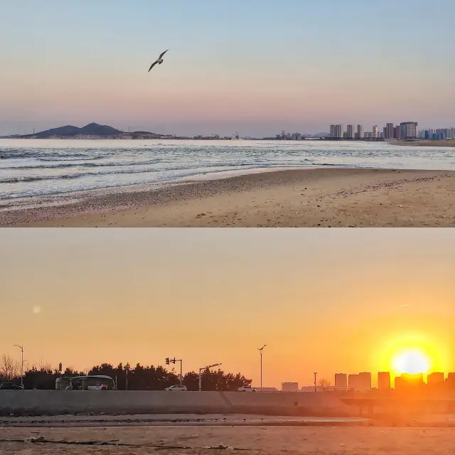 Dreamy pink beach, seagulls dancing in the sunset glow