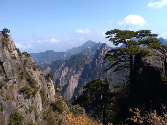 黃山真是太美了