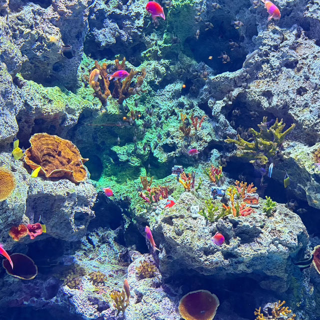 挖到寶！珠海長隆飛船酒店，親子遊的夢幻樂園！