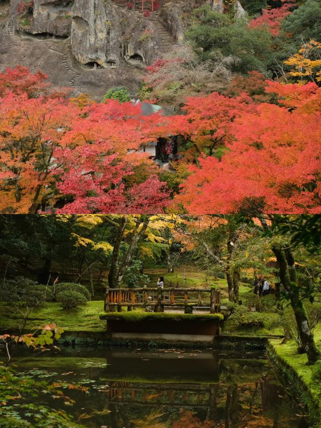 日本的隱秘寶藏，古韻與自然的完美邂逅