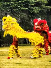 永遠被江南園林所折服—上海古猗園