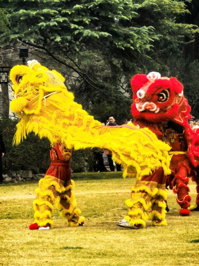 永遠被江南園林所折服—上海古猗園