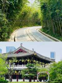 洛陽九州池，皇家風範，等你來探