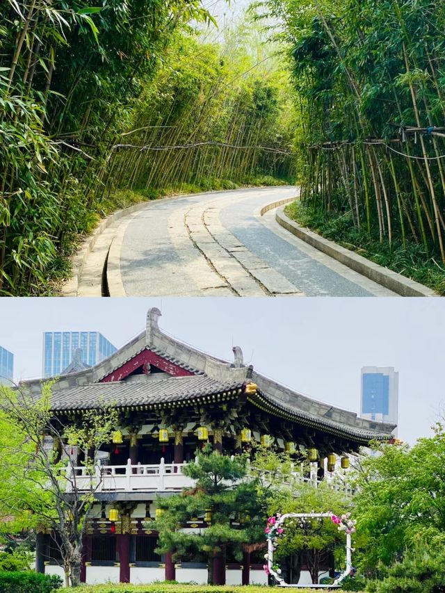 洛陽九州池，皇家風範，等你來探