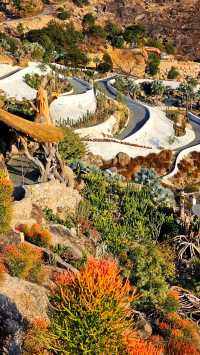 石岩植物園真的值得逛一逛