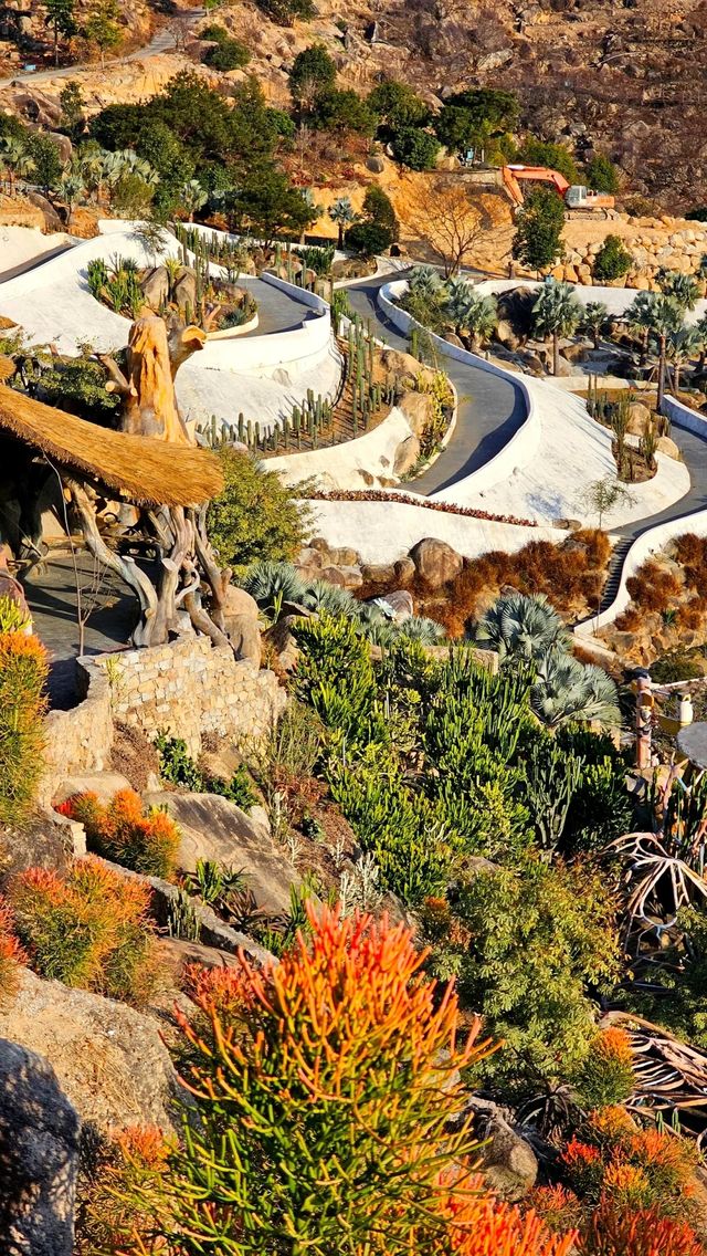 石岩植物園真的值得逛一逛