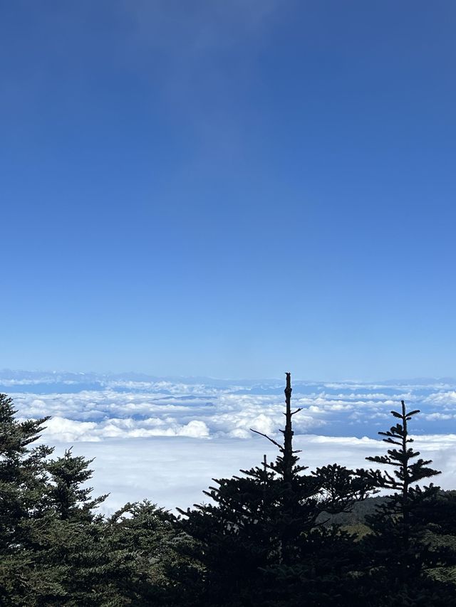 樂山-峨眉山2日遊 真溫泉體驗 看山玩水不耽誤