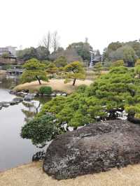 寒假要去｜日本溫泉之旅超治癒