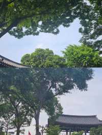 韓國晉州：歷史文化與自然美景的絕佳旅遊目的地
