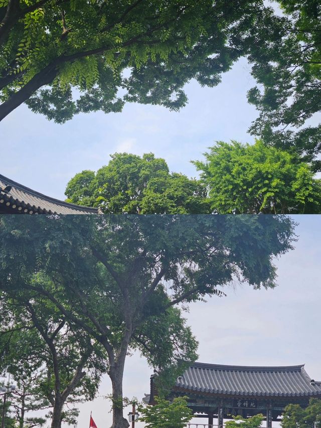 韓國晉州：歷史文化與自然美景的絕佳旅遊目的地