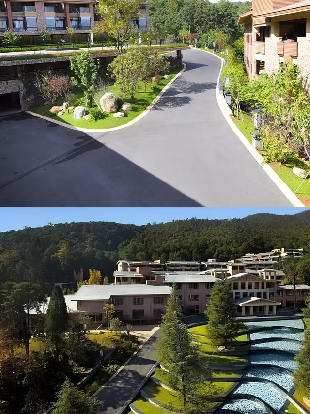 追住春風去度假喺金方住進春天裏