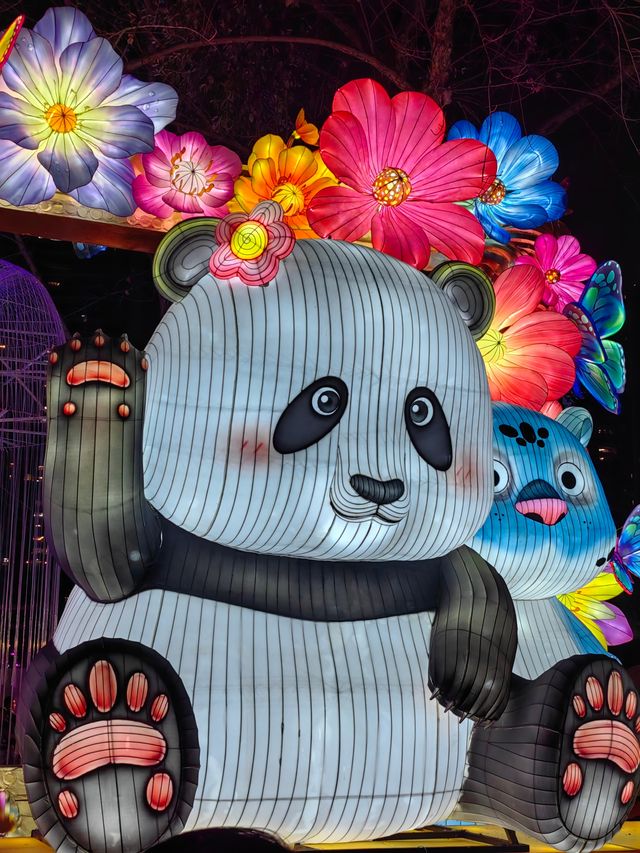 來成都看一場免費的熊貓燈會吧