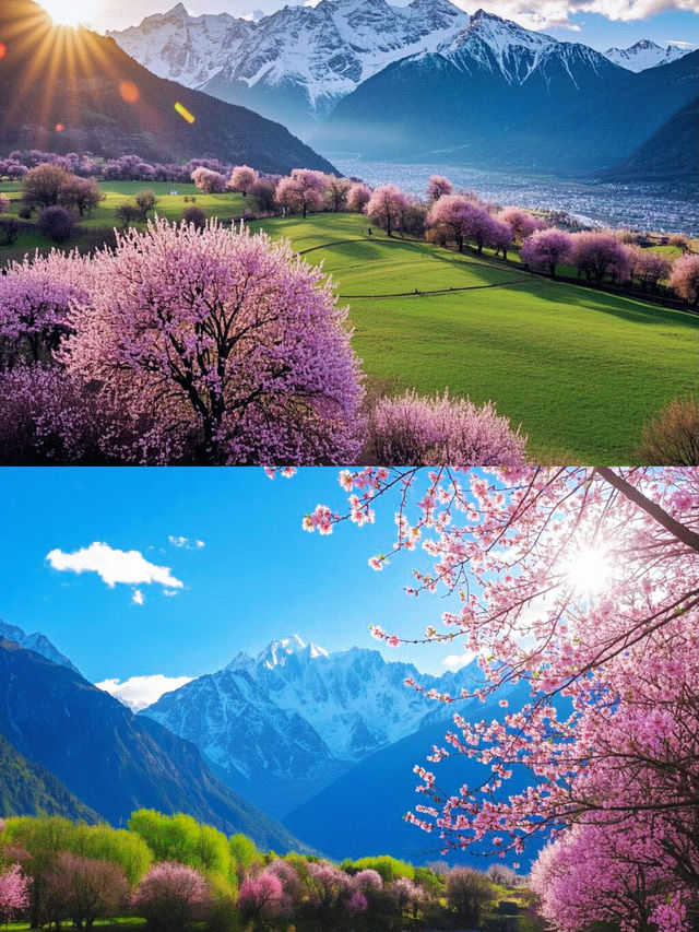 人生一定要去一次西藏，那裡的風很涼快，風景很美！