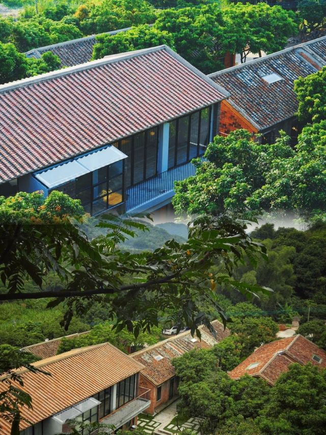 住了一個會發光的森系民宿