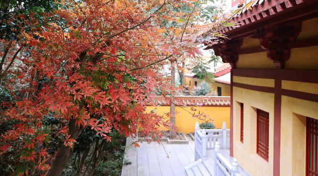 湖南岳陽聖安寺 | 願心所願，皆能如願