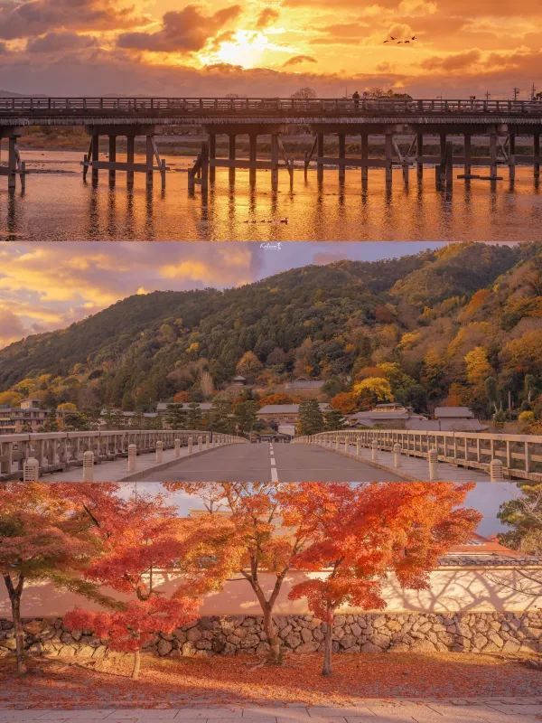 岚山渡月桥の日の出