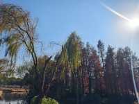 青西郊野公園絕對是任何季節都值得去的地方！