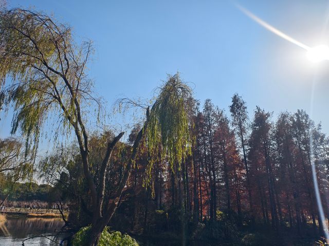 青西郊野公園絕對是任何季節都值得去的地方！