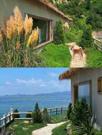 青島海邊小院！入住人生民宿太chill啦