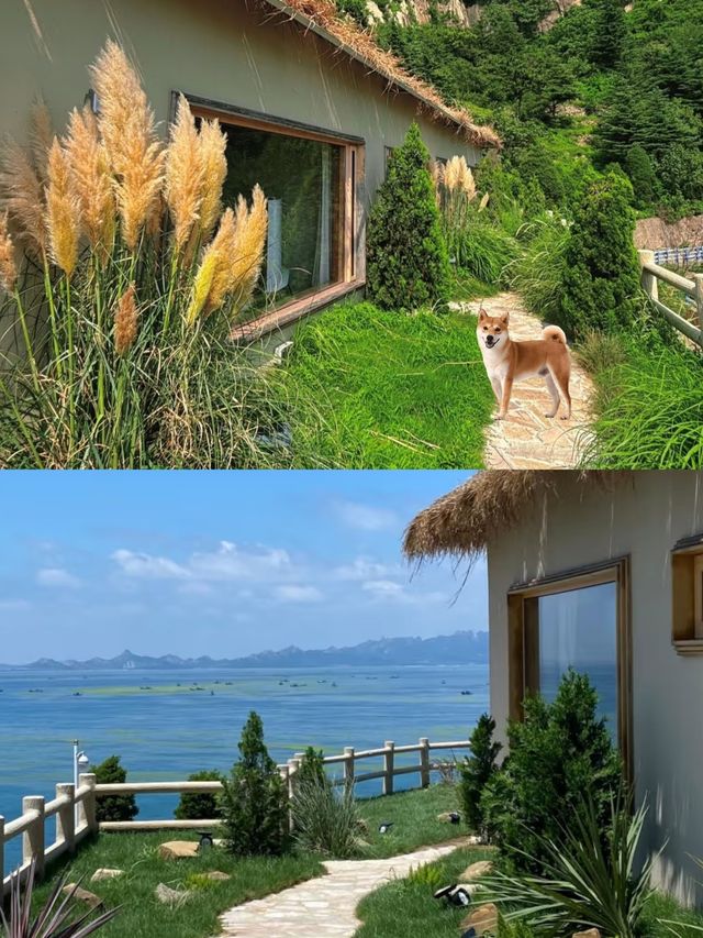 青島海邊小院！入住人生民宿太chill啦
