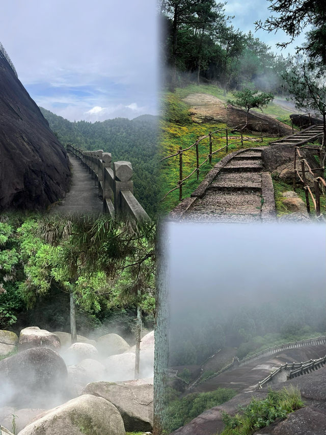 玉蒼山吸氧指南 上班不如上山