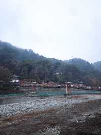 都江堰-九寨溝新玩法想看熊貓快來收下這份攻略