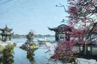 梅花