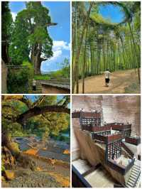 重慶龔灘+麗水|重慶龔灘+麗水|山水間的絕美之旅！