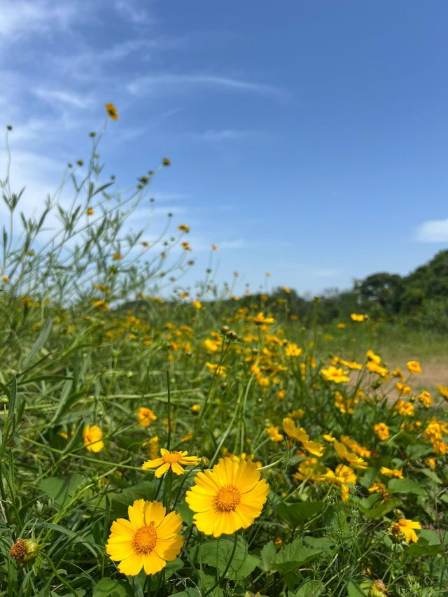 湖南湘潭金霞山｜湖南「小九寨」