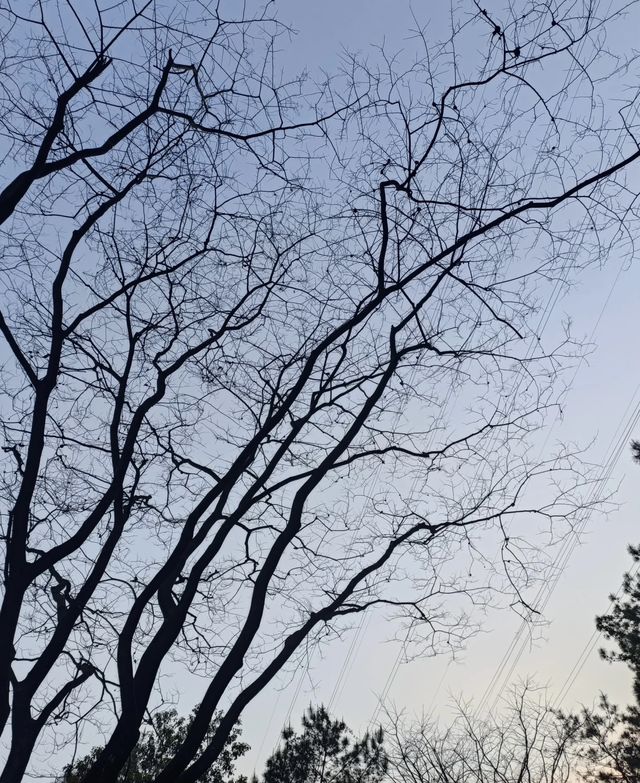徒步筆架山，每一步都是與自然的深情對話