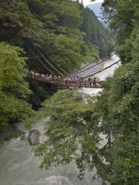 日本德島｜四國秘境，阿波舞與鳴門漩渦的浪漫之旅