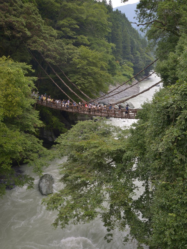 日本德島｜四國秘境，阿波舞與鳴門漩渦的浪漫之旅