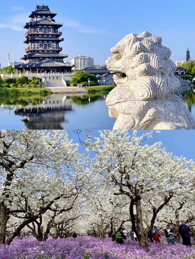 宿遷受罪已回，要去的姊妹慎重。