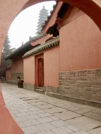 蒲州有國寶鐵牛、故城遺址、普救寺、鸛雀樓