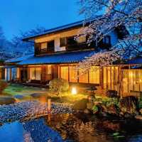 大阪竟藏著這等神仙賞櫻地🌸私藏秘境大曝光