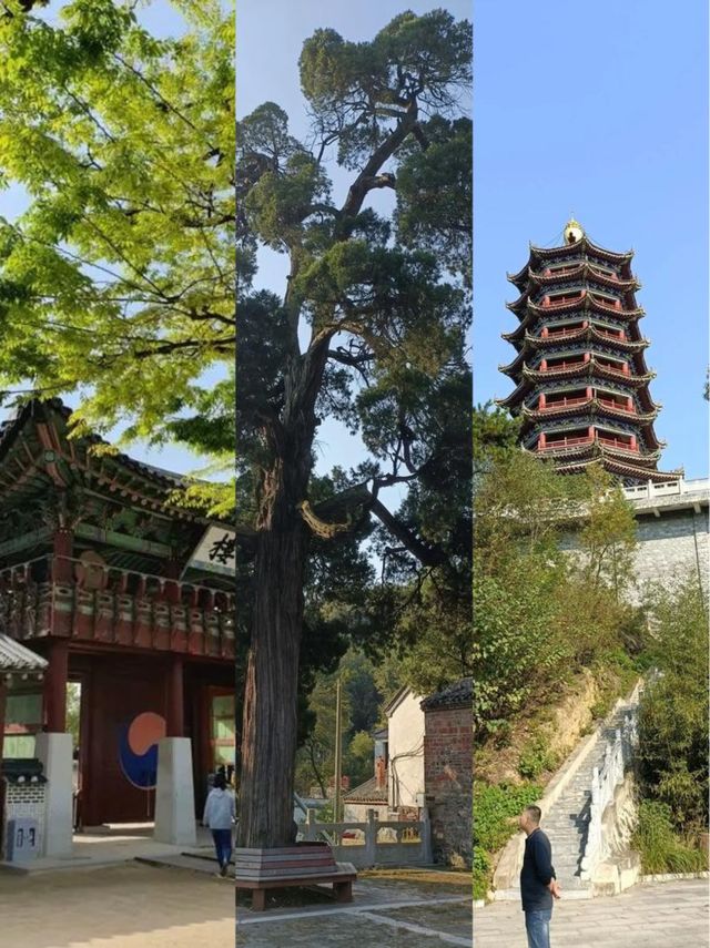 光州：韓韻藏幽處，詩意漫旅途