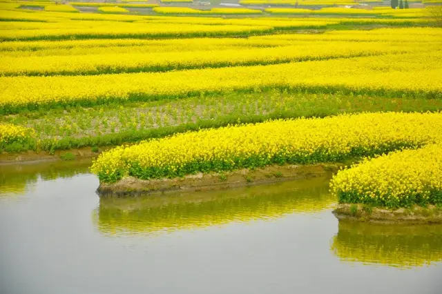 Water Flower Fields, A Dream Back to Qianduo