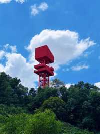深圳虹橋公園 | 藏在城市裡的「紅色飄帶」！森林徒步+空中棧橋