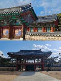 韓國洪川郡：小眾寶藏旅行地