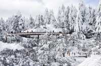 3.17瓦屋山今日實況，冇人了…