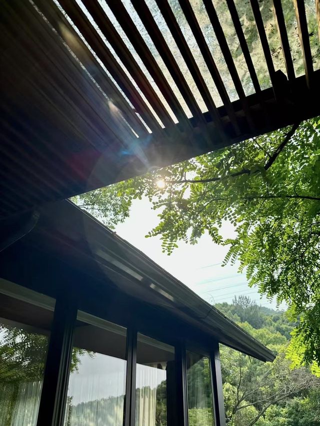 杭州西湖｜夕上虎跑1934延續民國花園別墅