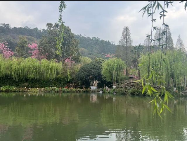 昆明把莫奈花園搬進現實了！！